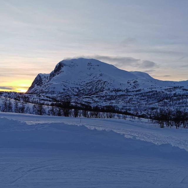 Bo Lunt Og Koselig Pa Filefjell Tyinkrysset Exterior foto